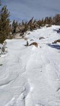 Wind affected snow surfaces on exposed slopes