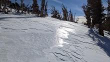 Exposed crusts on a W/NW aspect near 9000 ft. 