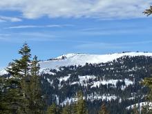 Old avalanche debris on E / NE bowl of Mt Lola.  Wind slabs that likely occurred January 3-4.  D1