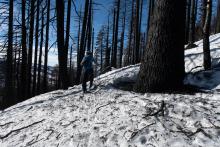 Burned trees and debris on ridge to Becker Peak