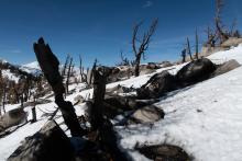 More burn along south face before reaching peak of Talking Mountain.  Also, enough snow cover but melting from sun exposure.