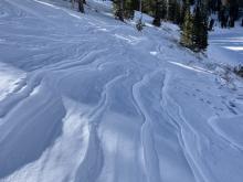 Wind affected snow below tree line on NE-N-NW aspect.