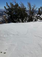 Some wintery snow in the flat terrain close to Red Lake Peak.