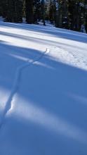 An old crack in the snowpack. This slope likely cracked in early January.