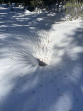 Drainages and depressions melting out to the ground.