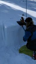 Snowpit in which we were focused on collecting information about he weak snow near the surface. ECTN test results.