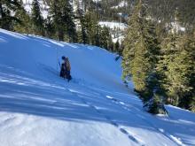 NW aspect near treeline avalanche path where we dug our snowpit.