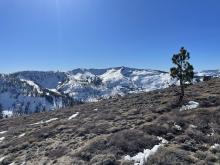 Widespread wind affect across Mt. Ralston.