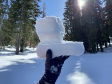 Side profile of top ~20cm of snowpack: new snow, melt freeze crust, facets, light rain crust (translucent layer), firmer facets below. 