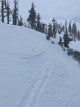 Ski cut lower on castle peak, at tree line. No slab yet