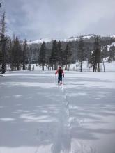 About a foot of snow near the trailhead with 1.5'+ at the higher elevations.