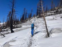 Large sections of ridge route on south aspects burnt off.