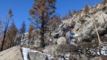 Many areas on the S-facing side of the ridge were completely free of snow.