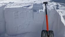 ECTN on a NE facing slope at 9600 ft. 