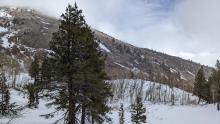 The south aspects of Slide Mtn. are mostly melted out to bare ground. 