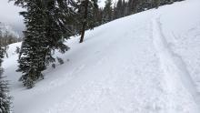 Ski cuts on this below treeline slope only pushed the loose new snow down the slope.