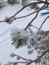 Trees on the summit ridge had soft snow sticking to their branches.