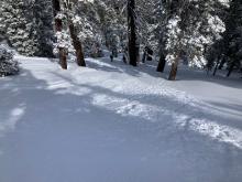 On a steeper rollover at about 8000 feet there was some sluffing. I heard reports of larger stuffs running longer on more east facing terrain with a firmer crust.