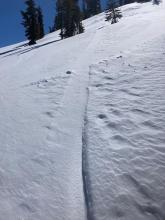 Wind drifted snow refilling the skin track.