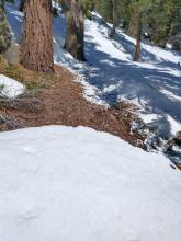 New snow melting quickly on sun exposed bare ground despite air temps in the mid 20s.