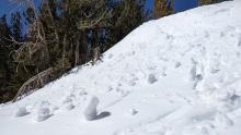 Small skier triggered roller-balls and pinwheels on a SE aspect at 9700 ft.