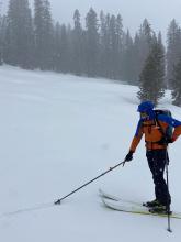 1 inch of new snow in a meadow at the start of our tour.