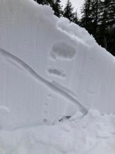 Pit wall showing snow above old facet layer. 