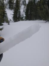 Semi-supportable to supportable crust on Tamarack Peak.