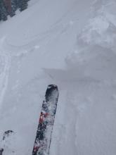 Near the ridgeline this developing wind slab measured about 6 inches deep. A few feet down the slope the wind slab had diminished to about 3 inches in depth. 