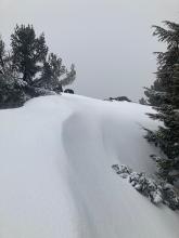 None of the ridge features I visited held wind slab. 