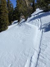 While blowing snow was only moderate today, there was enough to partly fill in this skin track during our tour. 