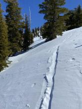 Another section of skin track filled in with blowing snow from today. 