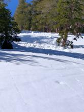 Small wet loose avalanche triggered on a small convexity off of a ski turn on ENE aspect terrain at about 8,200'.