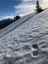 Snow surface crust was just supportable to a normal boot penetration.