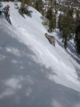 A ski cut around 11:45 am at the top of this ENE facing slope triggered a wet loose avalanche that entrained the top 12 to 16 inches of wet snow.