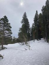 Light dusting of new snow at trailhead 