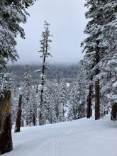 Looking down towards Grass Lake