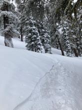 In the lower half of the Powerhouse the old snow was noticeably softer and clearly still wet under the fresh snow.