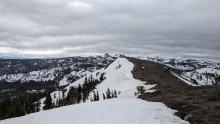 Judah Ridge.  Good coverage on E aspects at 8,000' with little to no snow on W aspects.