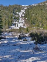 Thinning snowcover in the Corkscrew avalanche path, E aspect 6,600' to 9,100'.