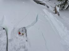 Ski cut on soft wind slab at ridgeline.