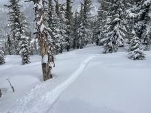 8-10" of new snow @ 9300'.