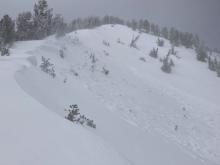 NE aspect, near treeline, ~9,800'