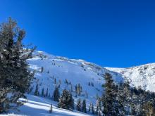 Crowns from recent avalanche activity run wider than this photo captures. 