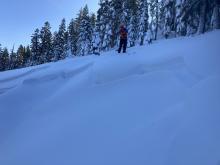 Natural avalanche failed on buried surface hoar on Sun Dec 11.