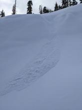 A ski cut triggered this surface hoar sluff on a steep N facing slope at 7200 ft.