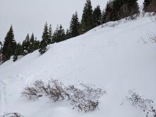 Ski cuts triggered roller balls and small pinwheels on a NW aspect at 7000 ft at 1pm.