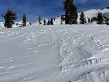 Recent wind loading in skin tracks.