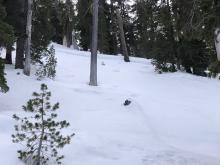 Crown of an old avalanche in the same vicinity 