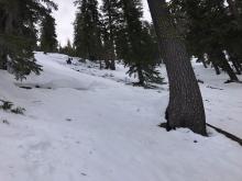 Crown of an old avalanche in the same vicinity 